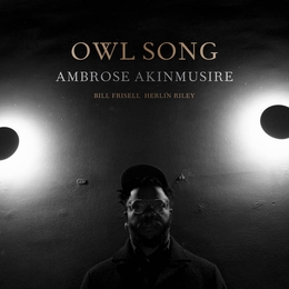 Image du média "OWL SONG de Ambrose AKINMUSIRE"