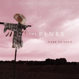 Image du média "DARK SO GOLD de THE PINES"