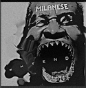 Image du média "EXTEND de MILANESE"