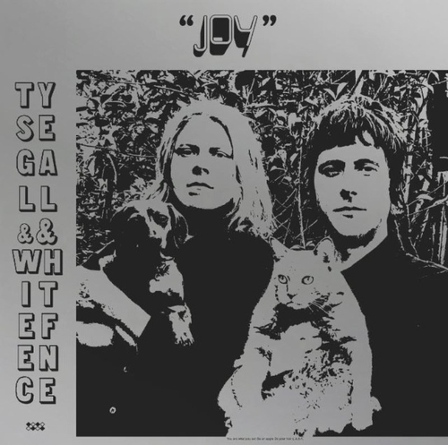 Couverture JOY de Ty SEGALL & WHITE FENCE