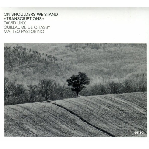 Couverture ON SHOULDERS WE STAND de David LINX, GUILLAUME DE CHASSY, MATTEO PASTOR