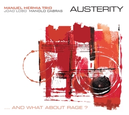 Image du média "AUSTERITY ... AND WHAT ABOUT RAGE? de Manuel HERMIA TRIO"