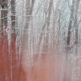 Image du média "WOOD, WINTER, HOLLOW de SEAWORTHY + TAYLOR DEUPREE"