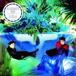 Image du média "SULK (REMASTERED) de THE ASSOCIATES"