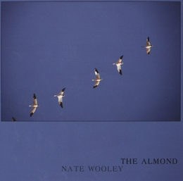 Image du média "THE ALMOND de Nate WOOLEY"