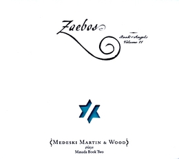 Image du média "ZAEBOS: BOOK OF ANGELS, VOL.11 de John ZORN"