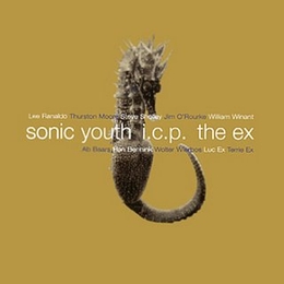 Image du média "IN THE FISHTANK de SONIC YOUTH, I.C.P. & THE EX"