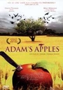 Image du média "ADAM'S APPLES de Anders Thomas JENSEN"