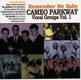 Image du média "REMEMBER ME BABY (CAMEO PARKWAY VOCAL GROUPS VOL.1)"