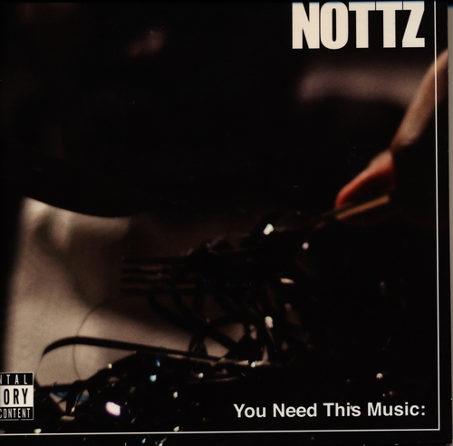 Couverture YOU NEED THIS MUSIC: de NOTTZ