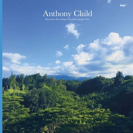 Image du média "ELECTRONIC RECORDINGS FROM MAIU JUNGLE, VOL.2 de Anthony CHILD"