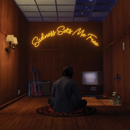 Image du média "SADNESS SETS ME FREE de Gruff RHYS"