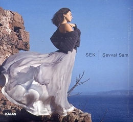 Image du média "SEK de Sevval SAM"