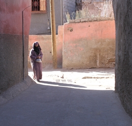 Image du média "LE PRIX DE L'EXIL de Yasmina HAMLAWI"