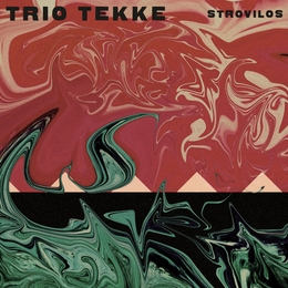 Image du média "STROVILOS de TRIO TEKKE"