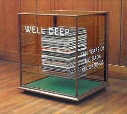 Image du média "WELL DEEP - TEN YEARS OF BIG DADA RECORDINGS de HIP HOP"