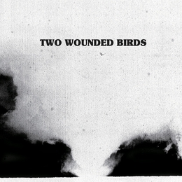 Image du média "TWO WOUNDED BIRDS de TWO WOUNDED BIRDS"