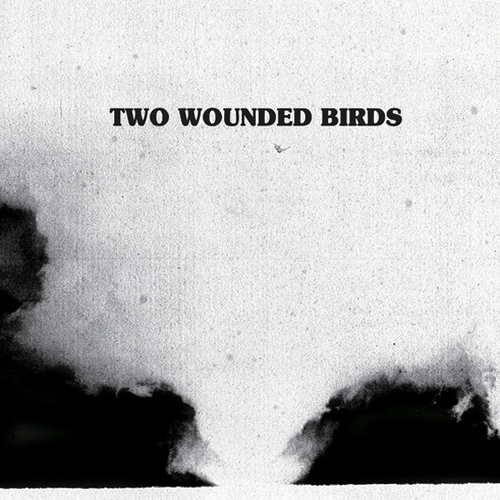 Couverture TWO WOUNDED BIRDS de TWO WOUNDED BIRDS