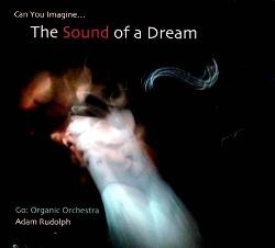 Image du média "THE SOUND OF A DREAM de Adam RUDOLPH GO: ORGANIC ORCHESTRA"