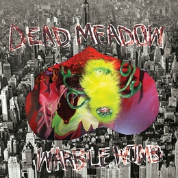 Image du média "WARBLE WOMB de DEAD MEADOW"