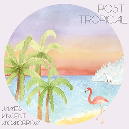 Image du média "POST TROPICAL de James Vincent MCMORROW"