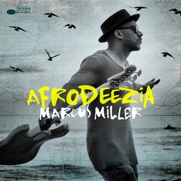 Image du média "AFRODEEZIA de Marcus MILLER"