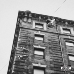 Image du média "THE EASY TRUTH de APOLLO BROWN & SKYZOO"