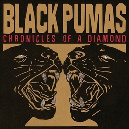 Image du média "CHRONICLES OF A DIAMOND de BLACK PUMAS"