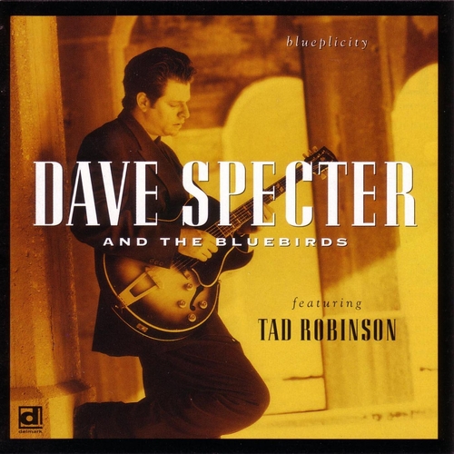 Couverture BLUEPLICITY de Dave SPECTER & THE BLUEBIRDS