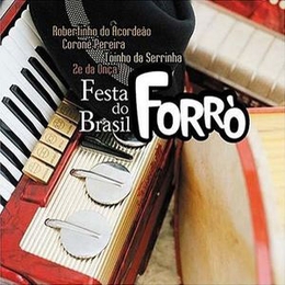 Image du média "FESTA DO BRASIL FORRÓ"