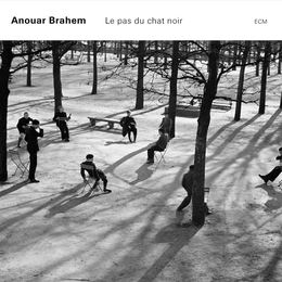 Image du média "LE PAS DU CHAT NOIR de Anouar BRAHEM"