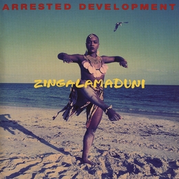 Image du média "ZINGALAMADUNI de ARRESTED DEVELOPMENT"