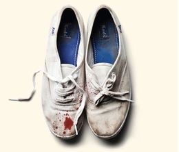 Image du média "REIGN OF TERROR de SLEIGH BELLS"