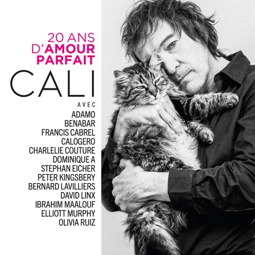 Couverture 20 ANS D'AMOUR PARFAIT de CALI