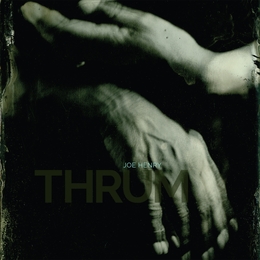 Image du média "THRUM de Joe HENRY"