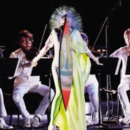 Image du média "VULNICURA STRINGS de BJÖRK"