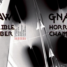 Image du média "HORRIBLE CHAMBER de GNAW"