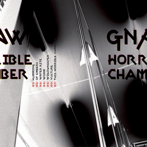 Couverture HORRIBLE CHAMBER de GNAW