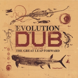 Image du média "EVOLUTION OF DUB (VOLUME 2 - THE GREAT LEAP FORWARD) de THE AGGROVATORS"