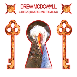 Image du média "A THREAD, SILVERED AND TREMBLING de Drew MCDOWALL"