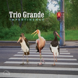 Image du média "IMPERTINENCE de TRIO GRANDE"