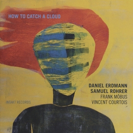 Image du média "HOW TO CATCH A CLOUD de Daniel ERDMANN & SAMUEL ROHRER"