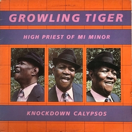 Image du média "KNOCKDOWN CALYPSOS de THE GROWLING TIGER"