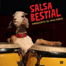 Image du média "SALSA BESTIAL de ORQUESTA EL MACABEO"