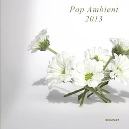 Image du média "POP AMBIENT 2013"