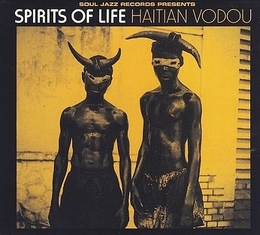 Image du média "SPIRIT OF LIFE: HAITIAN VODOU"