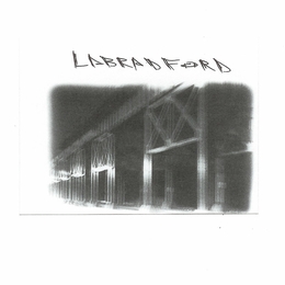 Image du média "LABRADFORD de LABRADFORD"