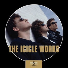 Image du média "5 ALBUMS BOX SET de THE ICICLE WORKS"