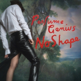 Image du média "NO SHAPE de PERFUME GENIUS"