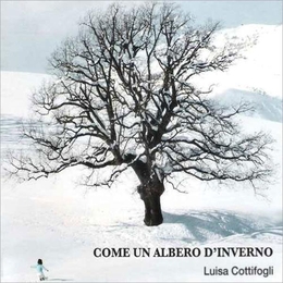 Image du média "COME UN ALBERO D'INVERNO de Luisa COTTIFOGLI"